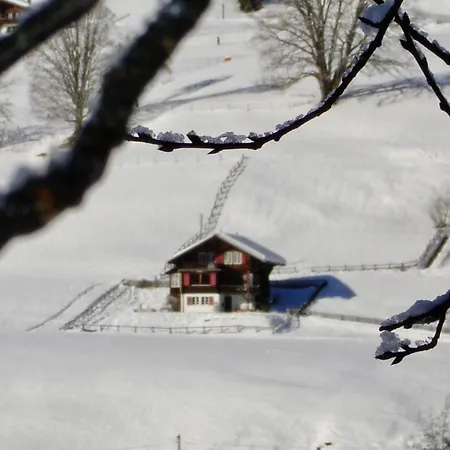 Sonnenfreude- Chalet * Schönried